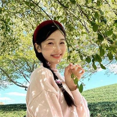 矮精灵历险记